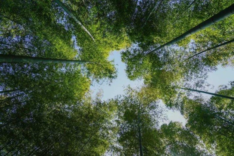 最低8℃！寒冷四级预警！冷空气持续影响，未来几天海南天气